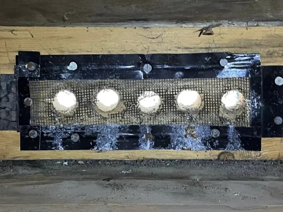 Vent openings sealed with steel mesh